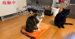 5月になったのになんか今日寒くない？