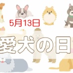Ｘ家の毎日