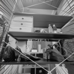 たかシェフのおうちごはん。と、白い犬。と、チワワ。