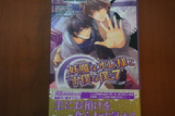 変之助の腐女子日記 ｂｌ新刊 ノベル