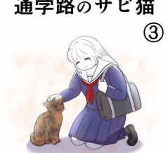 通学路のサビ猫【３】