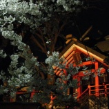 ��New year Gagaku concert at Otamainarijinja shrine 2019�٤β���