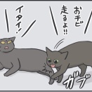 毎日が発見ネット掲載のお知らせ