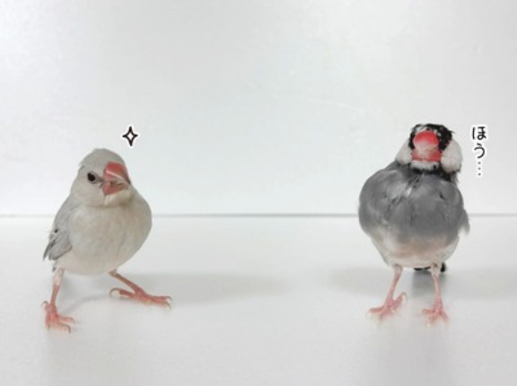 愉快な弟で良かったね