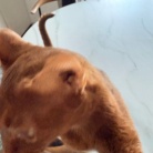 朝の抱っこ渋滞