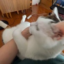 格闘中にて