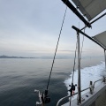 6月8日　日曜日　鯛ラバ釣行