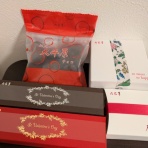 アラフィフ主婦のディズニー年パス日記