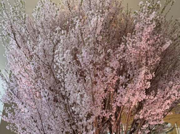 本鮪のすきみでねぎま鍋