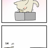 何も言ってないのに全部伝わる猫