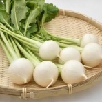 四つ葉のくまさんの癒しのお花、時々お料理日記