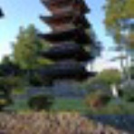 佐渡活性化日誌