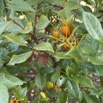 暇人、時々ひるがの高原へ行く！