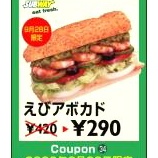 �إ��֥�������α �֤��ӥ��ܥ��ɡ�290�ߡ��ʥ����ݥ����ѡˡ٤β���