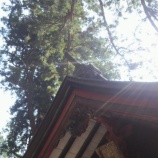 ��ǰ�Τ���˻ܤ��Ȥ��Ϥ�ε��� �� �ǽ�ˤ��٤������� ���٤β���