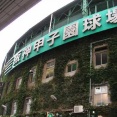 普段野球見ないオッサンが甲子園だけ熱心に見る現象