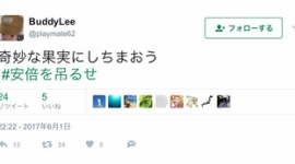 サヨク「奇妙な果実にしちまおう #安倍を吊るせ」→ツイート削除して謝罪