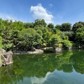 7月8日のお稽古ー洗い茶巾