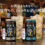 『『檸檬堂』から「無糖」と「うま塩レモン」新発売！』の画像