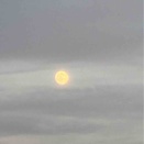 中秋の名月🌕