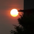 平塚七夕祭り