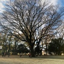 3月22日　８：００　ライブ配信「放課後はあそびの時間」