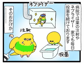 💊お薬快方近況リエル(おくすりかいほうきんきょりえる)