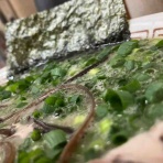 えいじの食べ物ブログ