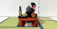 たまにはこんな日も大事