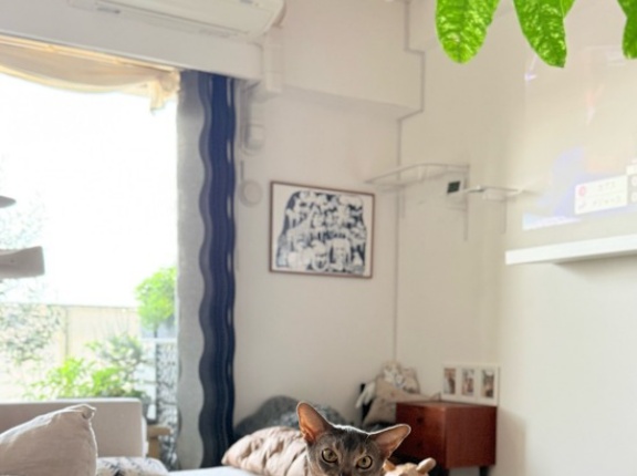 エアコンの上に行かない対策（しょぼい）