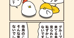 一羽で行く娯楽