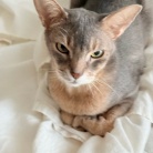 免疫力落ちた？蕁麻疹でて痒い߹-߹