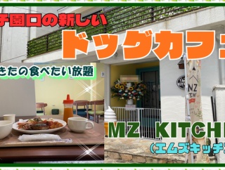 【西宮　グルメ】甲子園口の　MZ KITCHEN（エムズキッチン）！【関西　兵庫】