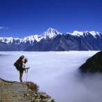 株道 - 人に教えたくない私の相場帳 -