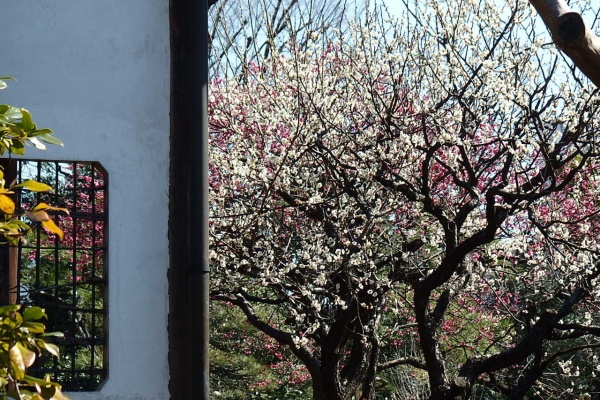 花信風 季節からのたより 14年02月