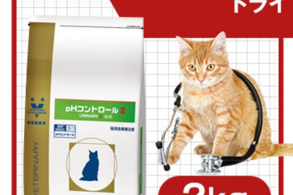 ネコちゃん 健やか キャットフードはネットでお得に購入しよう 尿路結石用