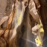 『心の保養』の画像