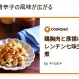 『「クックパッドニュース」の中の 「味しみ旨い！メイン食材３つ以内で作れる「鶏むね×厚揚げのボリュームおかず」」 のトピックに「鶏胸肉と厚揚げのレンチン七味生姜煮」が掲載』の画像