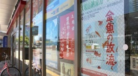 犬鳴山の金魚放流イベント、ネット炎上で中止に…「生態系に影響」「虐待」