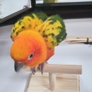 背中がもうちょっと見えた！