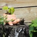 しばらくブログを休みます＆まとめてリス友写真 🐿️🐿️🐿️