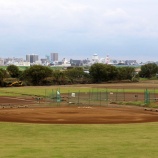 『素敵な拾いもの』の画像