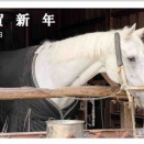 午年・初午・ウマ問題！馬に乗って駆け抜けろ！【練習問題】