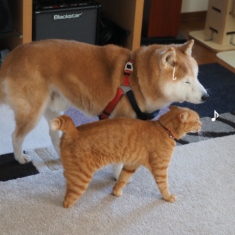 今朝もすりすり♪