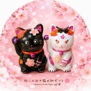 猫の抱き枕🐾