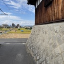 交野市内で稲刈りがはじまってる。刈るタイミングは例年並み
