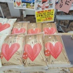 我が家のおでかけ帳