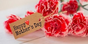 母の日や嫁の誕生日、結婚記念日を毎年、嫁を怒らせずに済ませようと思って頭が痛いんだ…