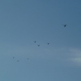 『飛行機ダイジェスト』の画像