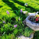 シャルバーグ八千代の＜フランスの田舎から＞